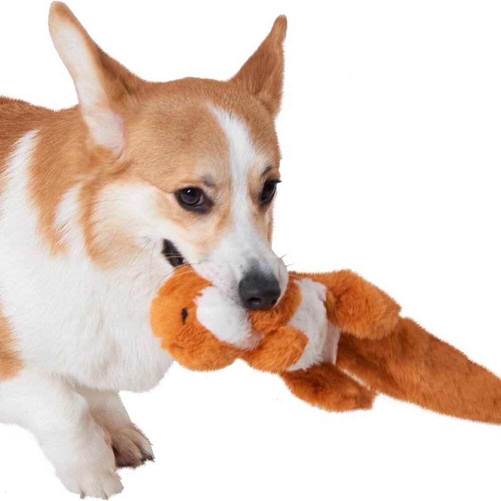 Plush Squeaky Toys for Medium and Large Dogs - No Stuffing, Durable Interactive - Picture 6 of 8